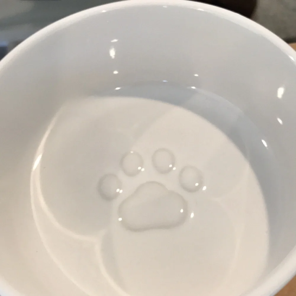 Frisco ceramic water bowl with wood vase